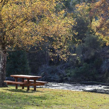 Отель Oscar'S On The Yarra Уорбертон Экстерьер фото