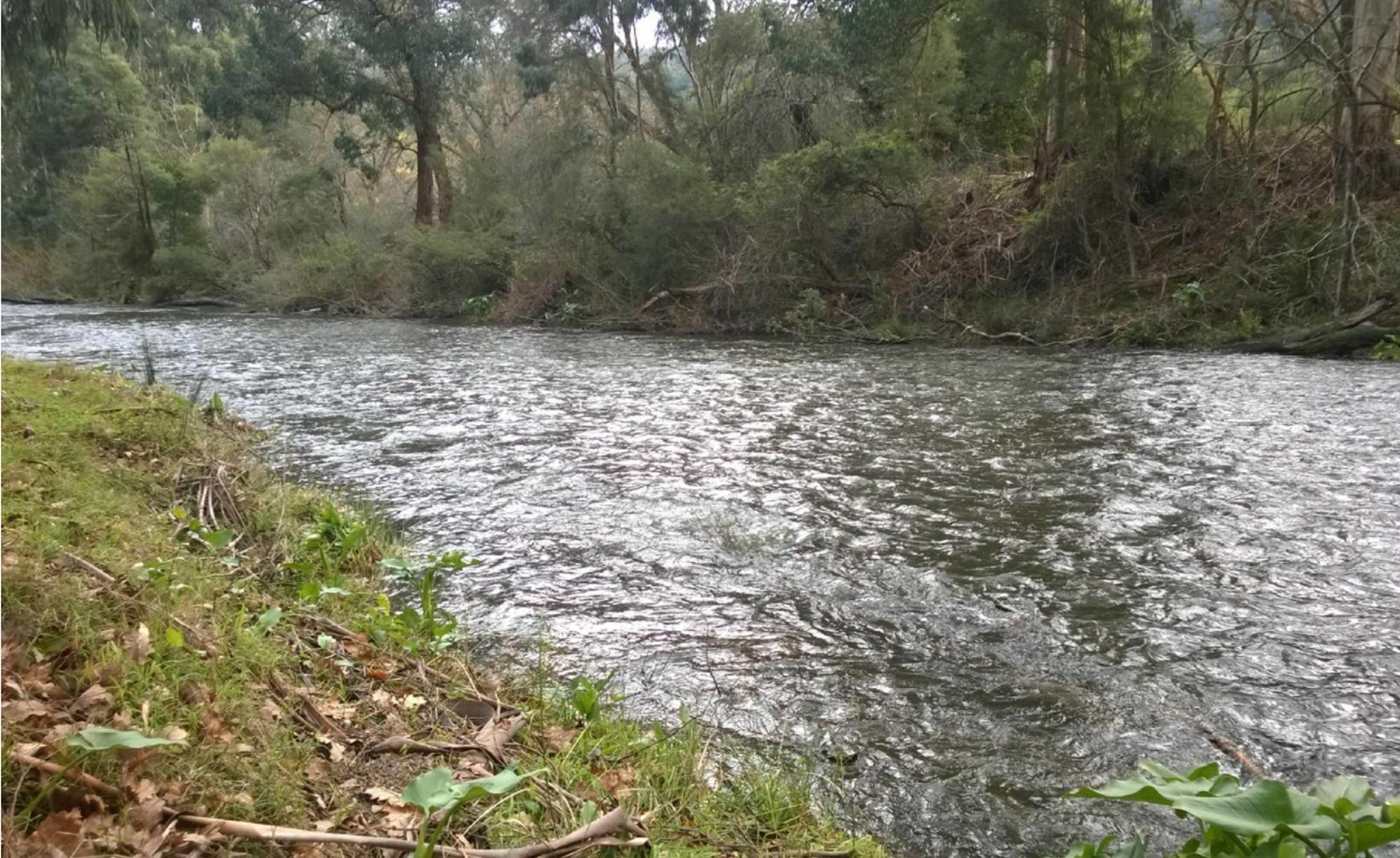 Отель Oscar'S On The Yarra Уорбертон Экстерьер фото